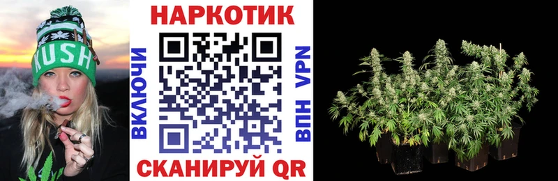 Продажа наркотиков Моршанск Псилоцибиновые грибы  КОКАИН  ТГК  МАРИХУАНА  Alpha PVP  omg ССЫЛКА  ГАШИШ  АМФ 